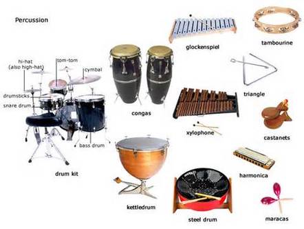 About - Percussion